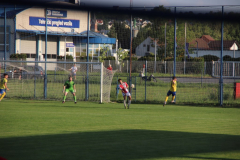 IMG_2850_1024x683