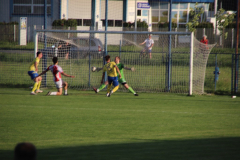 IMG_2851_1024x683