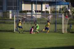 IMG_2853_1024x683