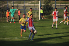 IMG_2879_1024x683