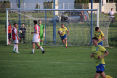 IMG_2901_1024x683