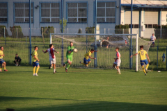 IMG_2911_1024x683