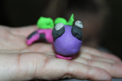 IMG_0806_1024x683