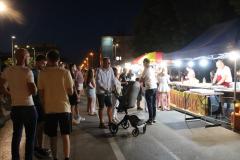 IMG_8277_1024x683