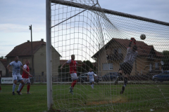 DSC_0336_1024x683