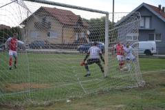 DSC_0352_1024x683