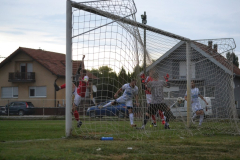 DSC_0378_1024x683