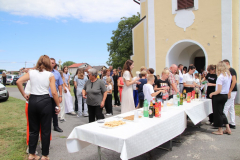 IMG_8062_1024x683