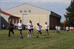 IMG_8484_1024x683