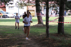 IMG_8596_1024x683