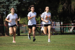 IMG_8702_1024x683