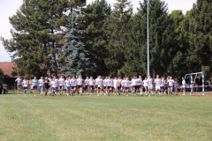 IMG_8739_1024x683