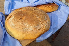 20260124_123939_1024x768