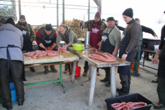 IMG_8851_1024x683