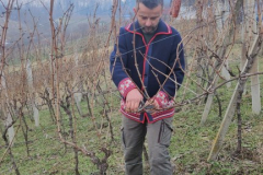 viber_slika_2026-01-24_18-06-48-397_432x768