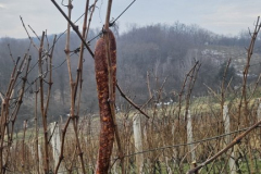 viber_slika_2026-01-24_18-06-50-039_432x768