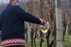 viber_slika_2026-01-24_18-33-12-779_432x768