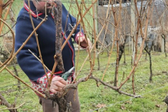 viber_slika_2026-01-24_18-33-13-671_432x768