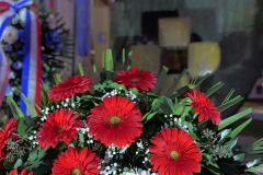 P1095481-Copy