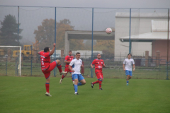 IMG_1257_1024x683