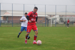 IMG_1267_1024x683