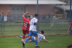 IMG_1269_1024x683