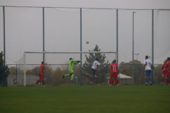 IMG_1376_1024x683