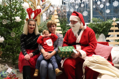 IMG_1614_1024x683