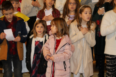 IMG_1419_1024x683