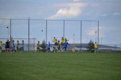 DSC_0036_1024x683
