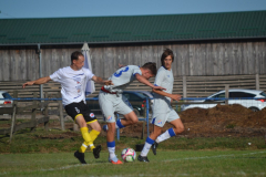 DSC_0026_1024x683