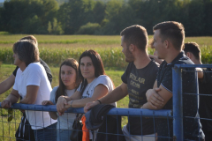 DSC_0071_1024x683