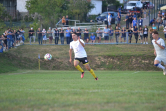 DSC_0177_1024x683