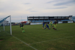 IMG_4433_1024x683