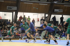 IMG_4506_1024x683