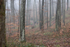 IMG_7634_1024x683