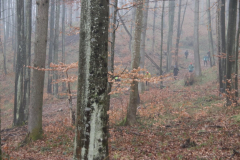 IMG_7638_1024x683