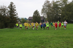 IMG_8114_1024x683