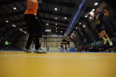 IMG_3441_1024x683