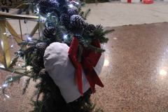 IMG_8557_1024x683