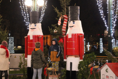 IMG_8622_1024x683