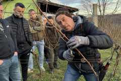 viber_slika_2026-02-25_10-11-16-648_1024x576