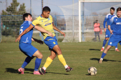 IMG_0292_1024x683