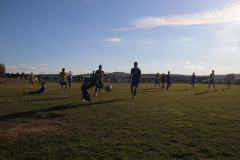 IMG_0301_1024x683