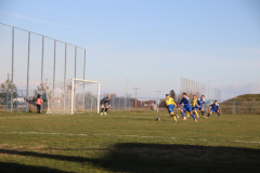 IMG_0305_1024x683