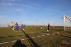 IMG_0334_1024x683