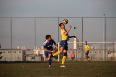 IMG_0423_1024x683