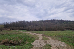 20260320_172322_1024x768