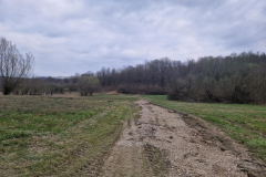 20260320_172332_1024x768