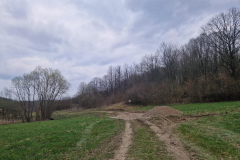 20260320_172359_1024x768